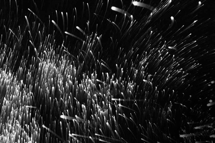 Principles of geometry